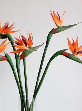 单枝大号软胶天堂鸟仿真假花塑料中式家居装饰摆件婚庆摄影