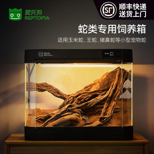 智能双区控温喷淋爬宠箱蛇类适用