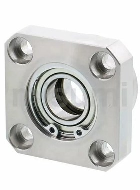 方法兰轴承座组件BGSBB6900ZZ-40 BGSBB6000ZJZ-25 BGSBB6000ZZ-4