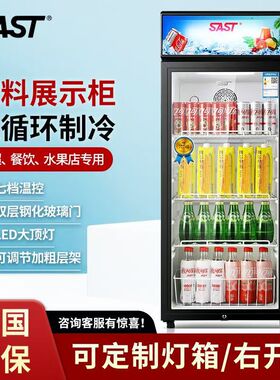 商用冷藏展示柜商超用饮料摆放柜餐厅厨房用酒水蔬菜留样柜冰吧