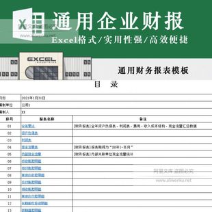 通用企业财务报表模板 适用集团合并报表资产客户产品收入结构EXC