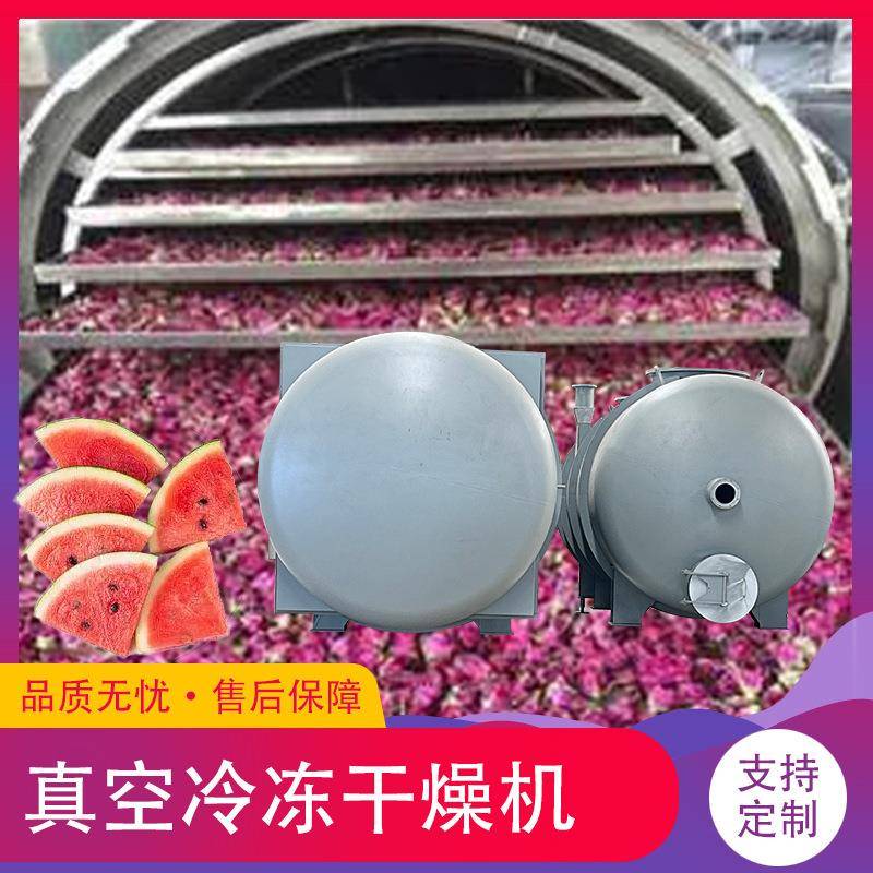 榴莲肉红心火龙果低温冻干机牛肉粒冻干设备山药草莓脆冻干机