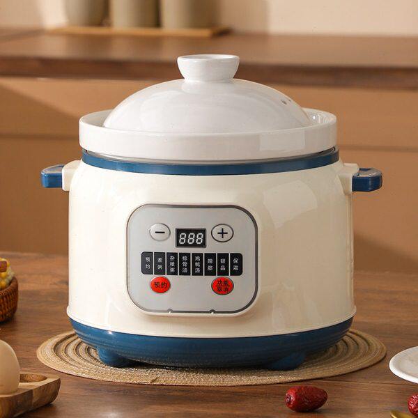 炖汤锅煮粥神器锅家用溢电炖锅粥煲汤全自动新款2024陶瓷熬不专用