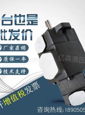 -41P237/512-6克R11/6510/575叶片泵海特14/V539UUL-/-F--/