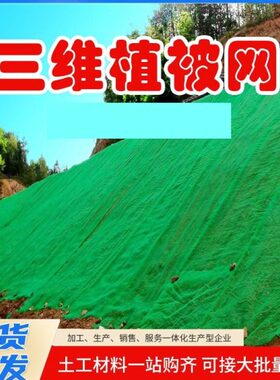 理热被麦态浸镀复合植园林河道护坡网网治垫加筋三边克维坡色植生