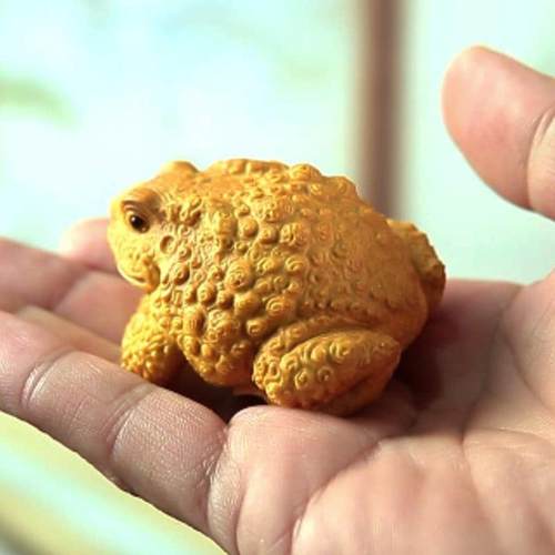 NuSun 贵宾/泰迪幼犬犬粮 2500g黄杨木雕文玩手把件招财金蟾蟾蜍