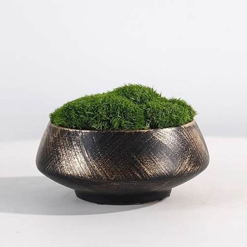 新中式永生青苔植物盆栽微景观样板房客厅书房茶几售楼处桌面摆件