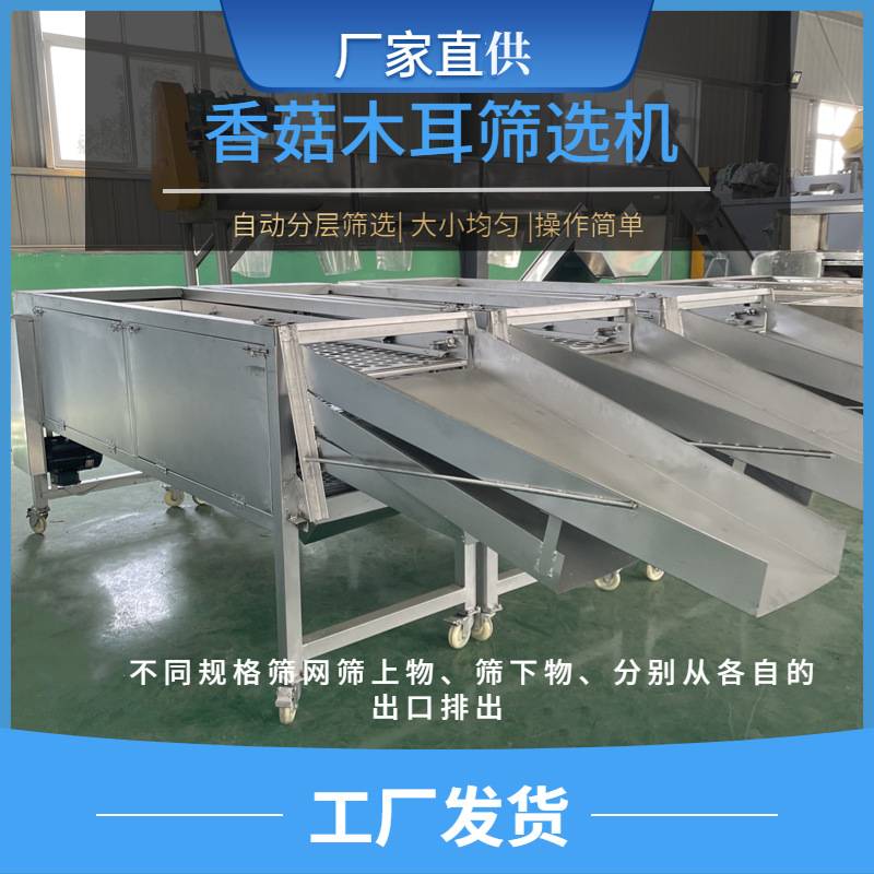 食用菌筛选机佳润香菇筛菇机分层筛选直线振动分筛送料选菇台