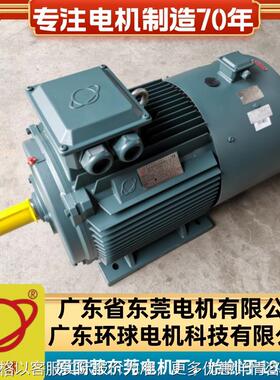 广东东莞电动机Y2VF315L1-6-110W立卧式B35三相变频调速电机