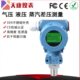 DG1300 4压力变送器