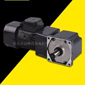 JSCC精研电机S250Y38L36RT S250Y38L50RT S250Y38L60RT