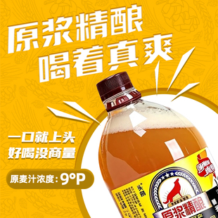 头狼啤酒整箱批发鲜啤青岛风味8度原浆精酿1.5L*6桶新鲜生扎啤酒