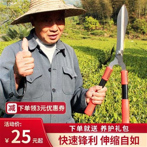 修剪树枝剪刀园艺花剪家用茶叶园林工具花草大枝剪草坪绿化修枝剪