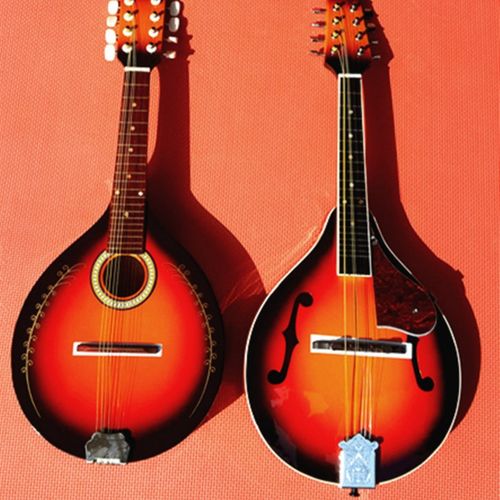 曼陀铃实体乐器店曼陀铃吉他带花曼陀铃精品演出音乐演奏