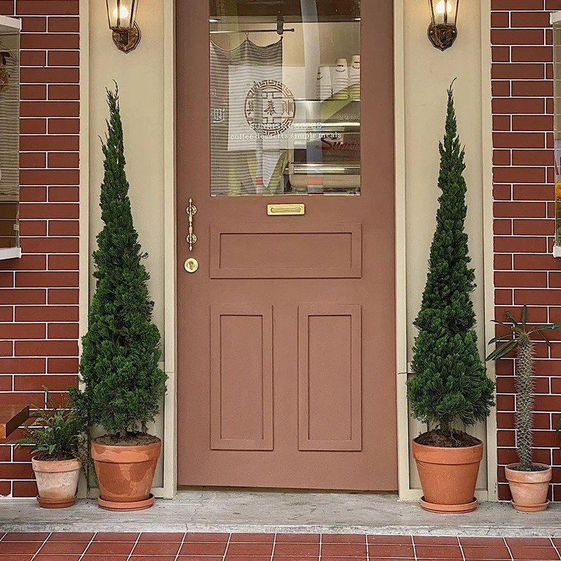 龙柏盆栽松柏塔松圣诞树室内客厅盆栽大型户外庭院好养活香松绿植