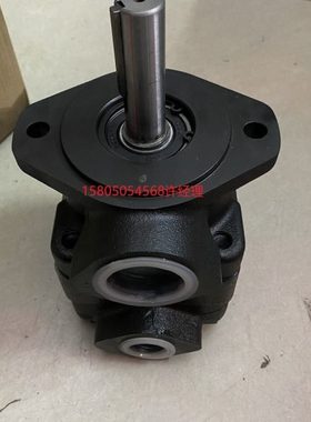 弘一V20-1P11P/1P12P/1P13P-1A/1B/1C/1D-11/20 叶片泵