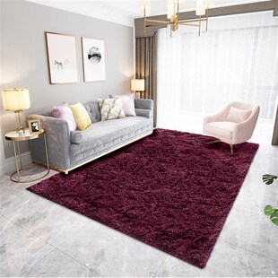 现代简约水洗丝毛地毯客厅茶几沙发地毯卧室床边加厚地毯瑜伽地垫