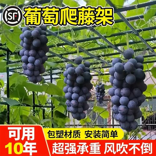 葡萄架爬藤架庭院农村小院户外不锈钢架子包塑钢管攀爬网支撑架