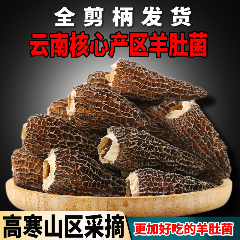 云南特产 高寒山区天货头茬羊肚菌新鲜干货菌菇汤包菌菇,粮油调味/速食/干货/烘焙,羊肚菌,淘宝优惠券,粉丝福利购,淘宝优惠卷