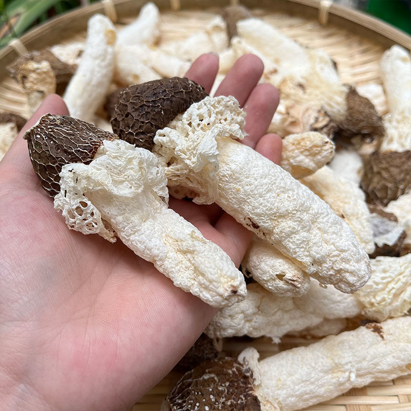 贵州织金红托竹荪50g起拍菌菇煲汤食材菌菇汤料非福建竹荪无异味