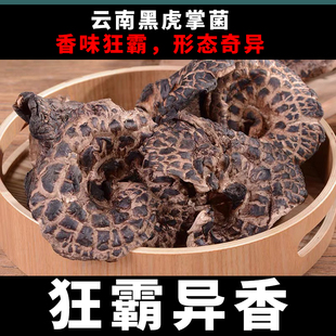 云南自然生长黑虎掌菌香味霸道炖汤香味浓郁超好吃的菌菇超香