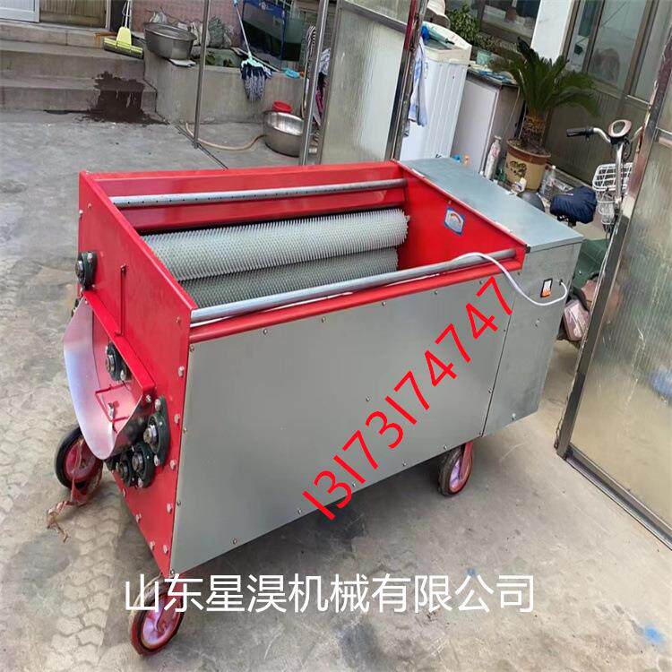 青皮核桃剥皮机核桃去青皮机鲜核桃剥壳机青核桃去壳脱皮机