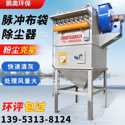中央除尘环保设备工业锅炉木工仓顶粉尘收集器脉冲布袋除尘器厂家