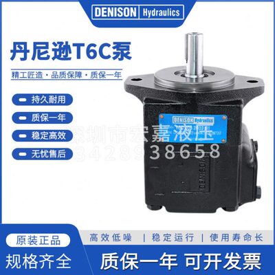 DENISON丹尼逊T6C-022/025/028/031-1R00/1R01/1R02-A1叶片泵油泵