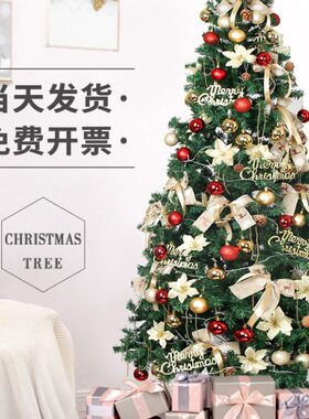 圣诞树家用加密1.5米发光套餐圣诞节装饰摆件绿色大型1.8/2.1米