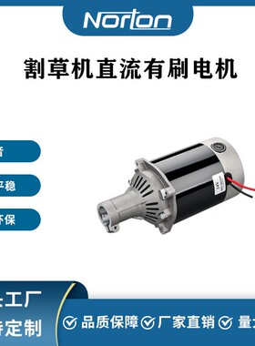 9716-450W60V永磁有刷直流电机割草机电机