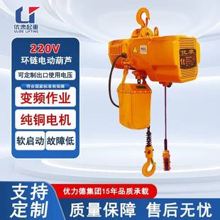 优力德出口电压220V单相电环链电动葫芦家用变频双速小吊机起重电