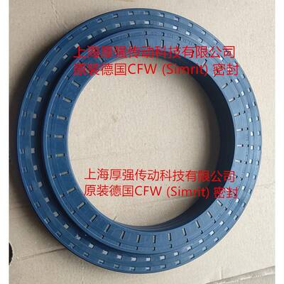 德国CFW组合油封MSS7LR155-150/190-24#RWDRKOMBI150-225-12/24
