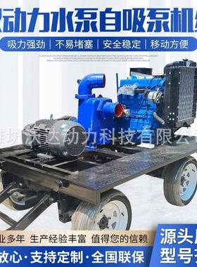 电机发动机双动力水泵自吸泵机组柴油机清水抽水泵工业管道排水泵
