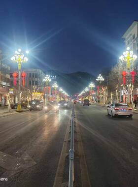 供应12米中华灯50WLED中华灯LED中华灯球罩景观中华灯供应