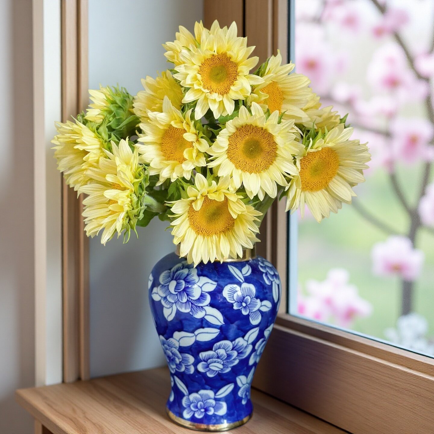 【顺丰空运】奶黄色调的奶油向日葵鲜花插花水养家居云南基地直发