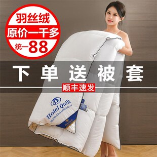 正品酒店类羽绒被冬被加厚保暖春秋被子被芯类鹅绒被学生宿舍棉被