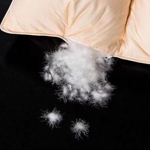 正品羽绒被95白鹅绒冬被加厚保暖春秋被单双人学生被子被芯静音款