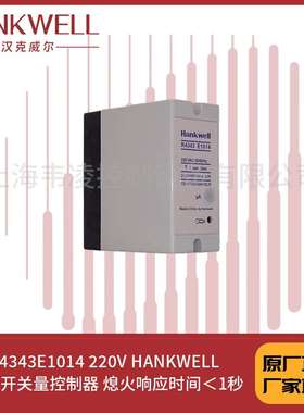 R4343E1014 220V HANKWELL 火焰开关量控制器 熄火响应时间＜1秒