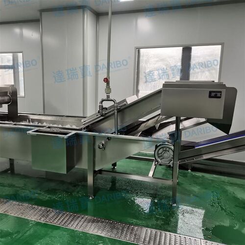 A连续式气泡清洗机 可处理上海青小青菜清洗小葱速度快清洗效果好