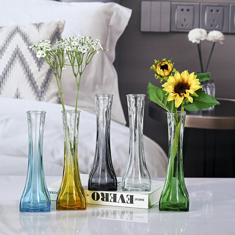花瓶摆件客厅插花轻奢高级感创意玻璃透明水养鲜花富W贵竹水培绿