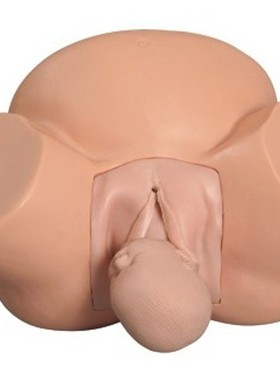 医信MDCD高级助产训练模型女性分娩示教模型骨盆模型婴儿模型