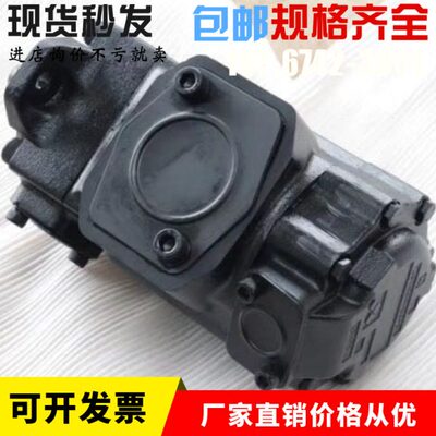 美国DENISON 丹尼逊叶片泵T6DC-038-005-1R00-C100丹尼逊油泵T6D