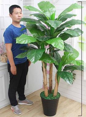 大型芭蕉树客厅装饰仿真植物盆栽仿真花室内假花假落地花艺树防真