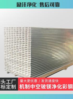 机制中空玻镁净化夹芯彩钢板自己安装防火洁净板隔墙无尘车间吊顶