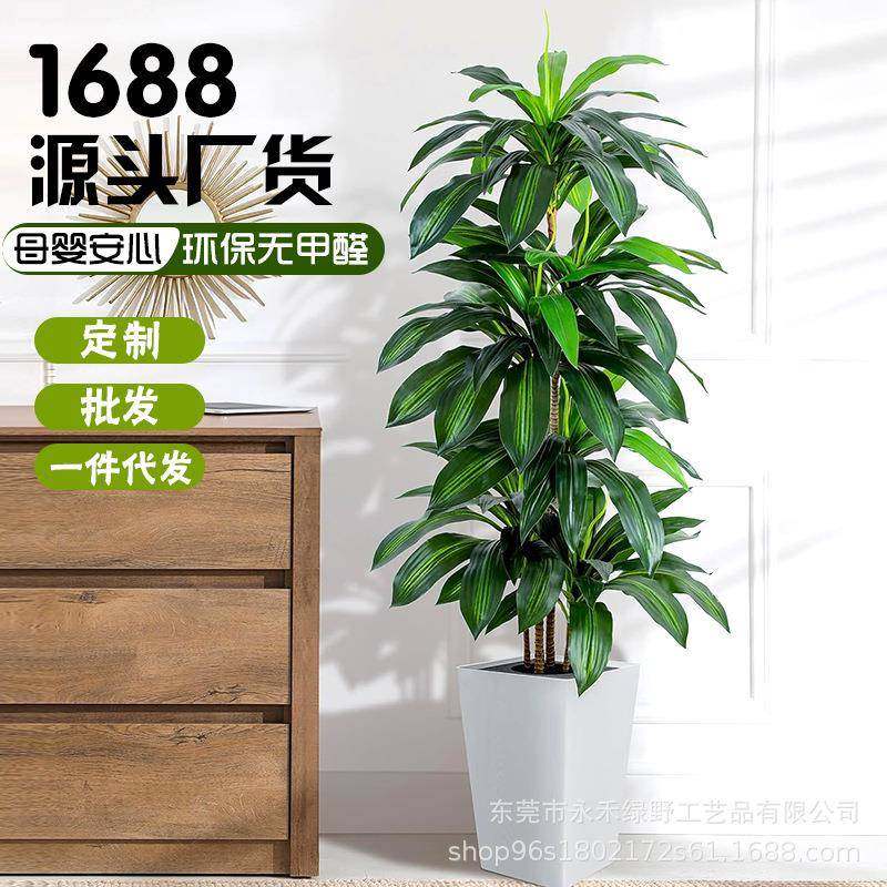 仿真绿植巴西铁植物盆栽巴西木家居造景景观绿植北欧风假绿植