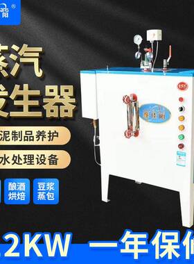 12KW电加热蒸汽发生器蒸汽发生机小型蒸汽锅炉电加热豆腐煮浆机