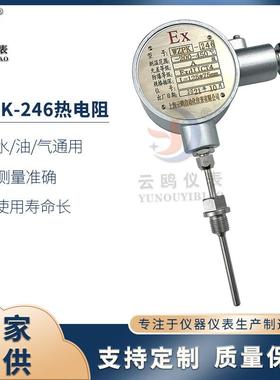 防爆等级ExdIICT6防爆铠装热电阻WZPK-246隔爆铠装热电阻WZPK2-2