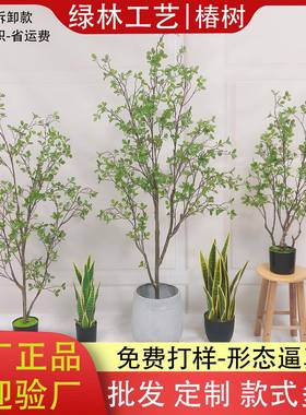仿真椿树高档美式加密款落地植物橄榄树盆景摄影道具装饰盆栽