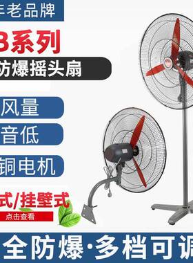 防爆摇头扇BTSFB-500落地式600壁挂式750防爆风扇220V牛角扇380V