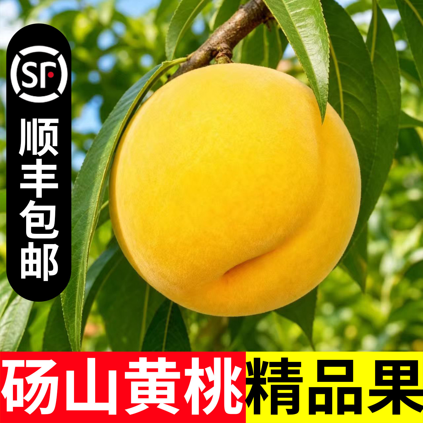 黄桃脆甜硬桃当季黄桃顺丰包邮